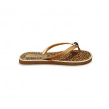 Chinelo sola micro pvc sintético cabedal Bronze - CH-2307